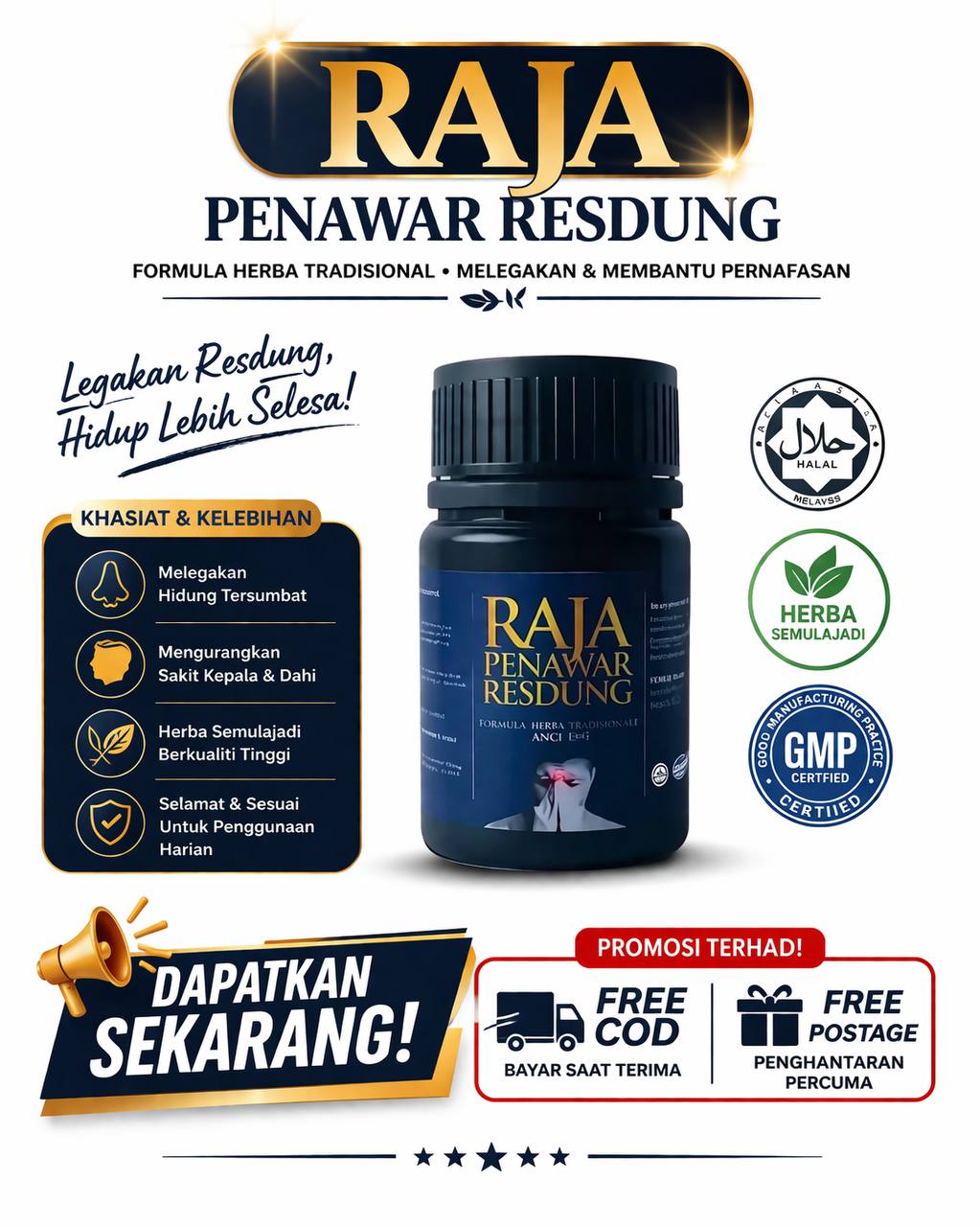 Pakej Raja Resdung